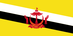Country Flag Brunei