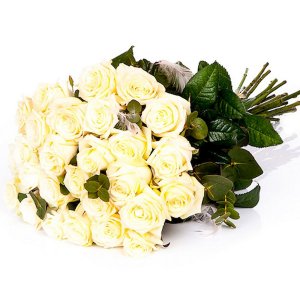 White Roses with feathers