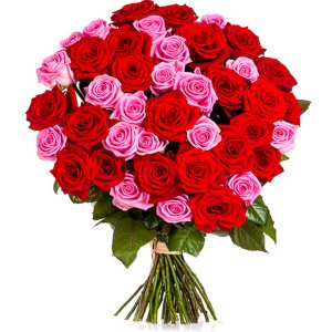 Red & Pink Roses (per stem)