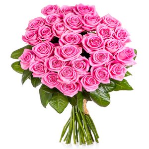 Pink Roses (per stem)