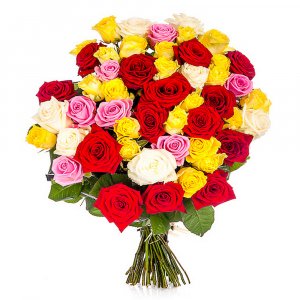 Mixed colour roses
