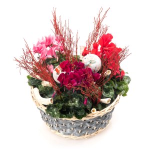 Christmas plant Basket