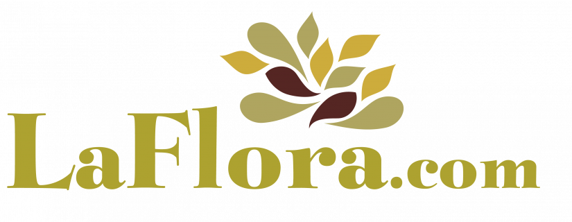 LaFlora | Rozvoz květin