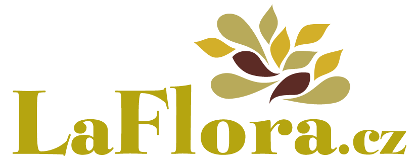 LaFlora | Rozvoz květin