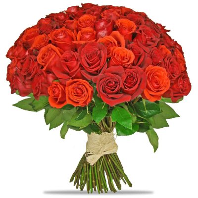 101 růží Amfitryón