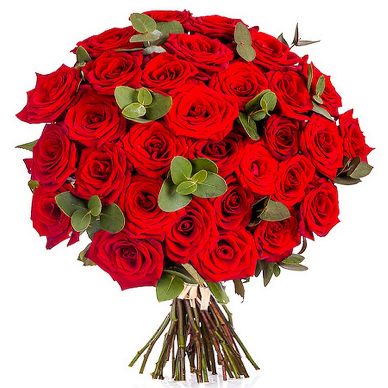 Červené růže s eucalyptem vlastní počet